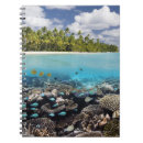 Suche nach atoll Ozean