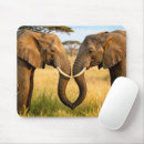 Suche nach stoßzahn mousepads Elefanten