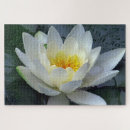 Suche nach wasserlilien puzzle Blume