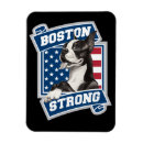 Recherche de terriers magnets Pour animaux