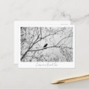 Suche nach birkenbaum postkarten Natur