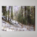 Suche nach winter forest poster Wald