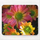 Recherche de rose lumineux tapis souris Pour tous