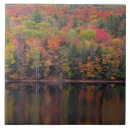 Suche nach herbstfarben fliesen Blätter