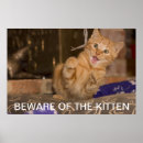 Suche nach vorsichts poster Kätzchen