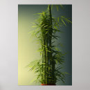 Suche nach bamboo poster Japanisch