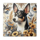 Recherche de rat carreaux Dog