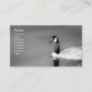 Suche nach gans visitenkarten Tiere