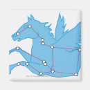 Suche nach pegasus magnete Tier