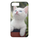 Recherche de chat domestique iphone coques Animaux domestiques