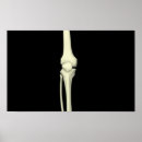 Suche nach knies poster Gesund