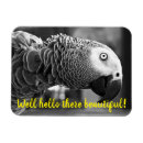 Recherche de là magnets Pour elle