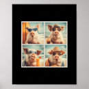 Suche nach tourist poster Sand