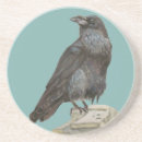 Recherche de corvid dessous de verres Corbeau