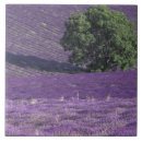 Suche nach lavendelfelder fliesen Provence