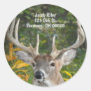 Suche nach buckel aufkleber Jagd