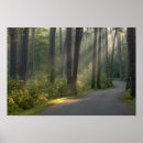 Suche nach minnesota poster Staat park