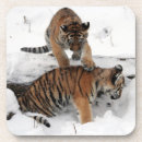 Recherche de cuill maison deco Tigre