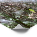 Suche nach pocken poster Natur