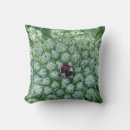 Recherche de mite coussins Vert