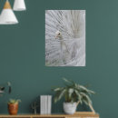 Recherche de dentelle posters Blanc