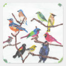 Recherche de oiseaux chanteurs autocollants Dessin