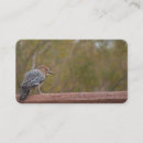 Recherche de pic cartes visite Nature