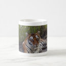 Suche nach bengalischer tiger tassen Katzenartig