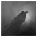 Suche nach schwarze krähe fliesen Schwarzer vogel
