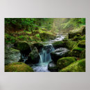 Recherche de green river posters Forest