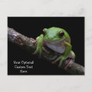Recherche de grenouille cool cartes postales Crapaud