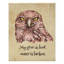 Recherche de chouette posters Ornithologie