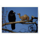 Recherche de dromadaires cartes postales Drôle