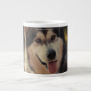 Suche nach alaskan malamute tassen Haustier