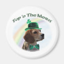 Suche nach partei magnete Beagle
