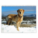 Suche nach zucht kalender Rettung