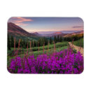 Recherche de fleurs sauvages magnets Meadow