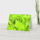 Suche nach grüne pflanze karten Liebe