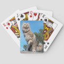 Recherche de chocolat jeux de cartes Animal