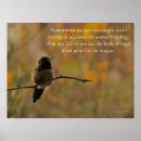 Suche nach kolibris poster Inspirierend