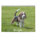 Suche nach beagle geschenke Kaninchen