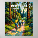 Recherche de forêt de séquoia posters Parc national de redwood