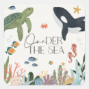 Recherche de petite baleine autocollants Pour enfants