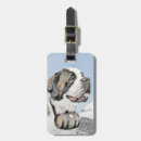 Recherche de saint bernard accessoires Bernhardiner