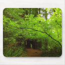Suche nach ahornbaum mousepads Natur