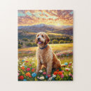 Recherche de labradoodle puzzles Caniche