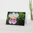 Recherche de orchidée jaune vœux cartes Plante