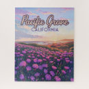 Recherche de pacific sports Californie