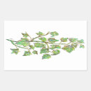 Suche nach ivy aufkleber Botanisch