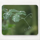 Suche nach erbse mousepads Natur